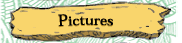 Pictures
