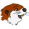 Beaver