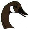Goose