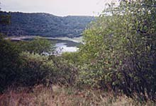 landscape with lake or pond in a raised basin