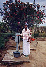 woman next to public water meter pump, with her water can
