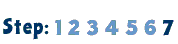 Step 7