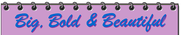 Text: Big and BOLD Collection
