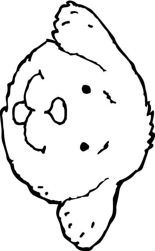 Pal's Mask