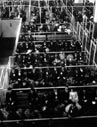 Photo of immigrants waiting in a room at Ellis Island, 1907