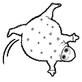 Boohbah #5