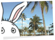 Miami, Florida