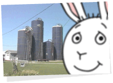 Knox, Indiana