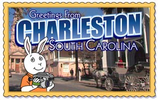 Buster in Charleston