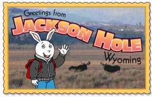 Buster in Jackson Hole
