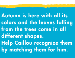 Autumn is here with all its colors and the leaves falling from the trees come in all different shapes and colors. Help Caillou recognize them by matching them for him.