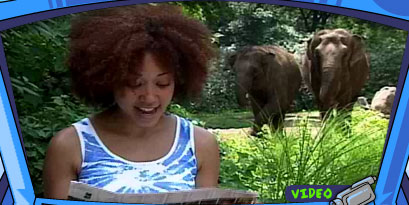 Photo of girl reading
