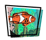 ROV