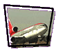 Birds and Runways