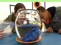 photo of hosts michael and mariko looking at sand