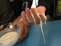 photo of gooey substance in host mariko's hand