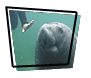 Manatees