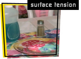 photo of dishsoap, plate, and pepper