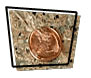 Penny Drop