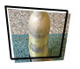 Soda Geyser