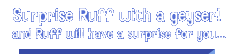 Surprise Ruff with a geyser! (and Ruff will have a surprise for you...)
