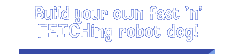 Build your own fast and FETCHing robot dog
