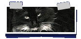 Jean-Pierre
