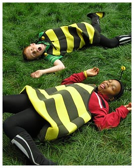 Khalil and Brian in bumble bee costumes, lying in the grass.