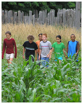 The FETCHers walking in a corn field.