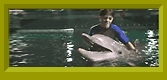 Willie stands in a pool with his arm around Calvin the dolphin.