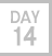 Day 14