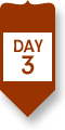 Day 3