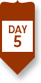Day 5