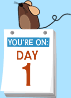 Day 1