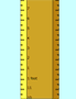 growth chart