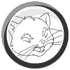 Learn To Draw