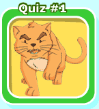 quiz 1