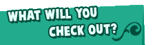 What will you check out?