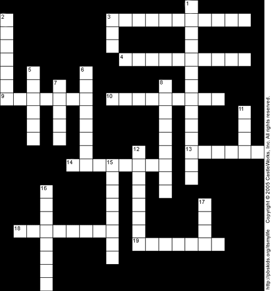 Crossword Puzzle
