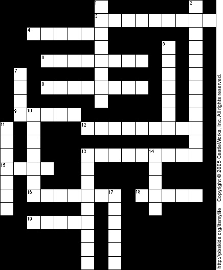 Crossword Puzzle