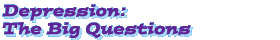 Depression: The Big Questions
