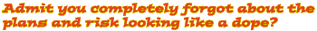Admit you completely forgot about the plans and risk looking like a dope?