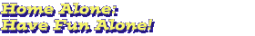 Home Alone: Have Fun Alone!