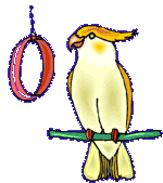 Cockatoo
