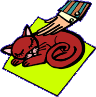 Hand petting sleeping cat