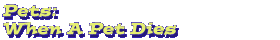 Pets: When A Pet Dies