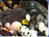 The 9-11 Stuffy Fund