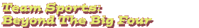 Team Sports: Beyond The Big Four