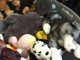 Kids talk about 9-11's Stuffy Fund