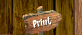 Print this page